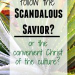 Do you follow the scandalous Savior? or the convenient Christ of our culture?