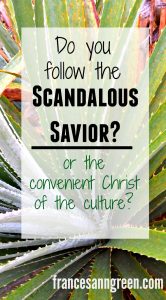 Do you follow the scandalous Savior? Or the convenient Christ of our culture?  Here's an invitation to take Christ out of the neatly packaged box...