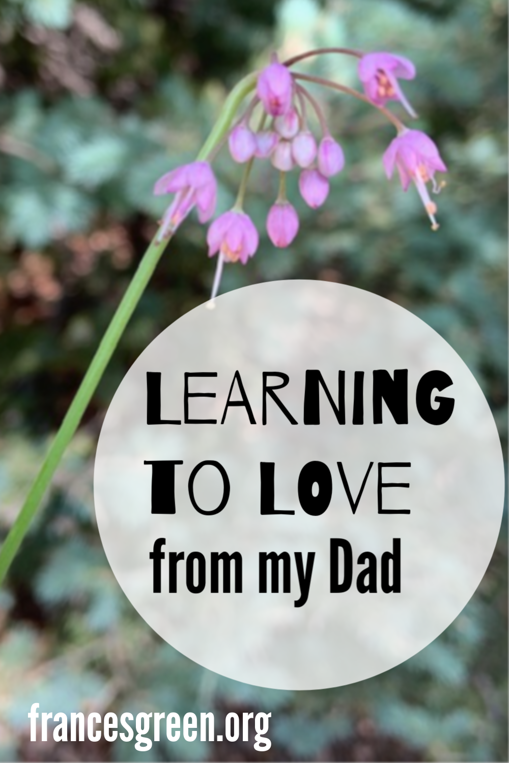 Learning to Love from my Dad