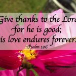 Finding words for gratitude in the Psalms