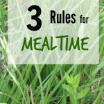 Three Rules for Mealtime