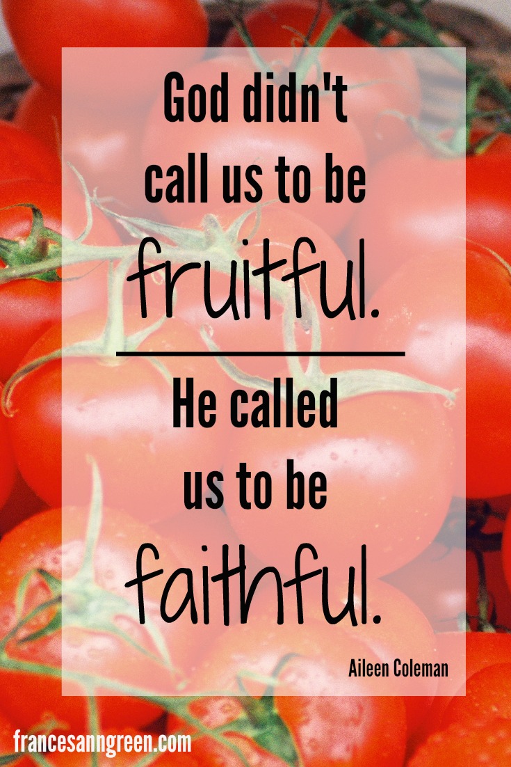 "God didn't call us to be fruitful. He called us to be faithful." --Are you a missionary who has little fruit to show for your work? Read here about kingdom fruit to help you be faithful to your call.