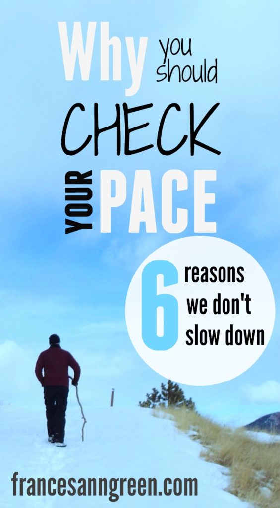 How's your pace of life? Read here to see why you should check your pace and a list of 6 reasons we don't slow down.